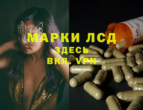 прущие грибы Абинск