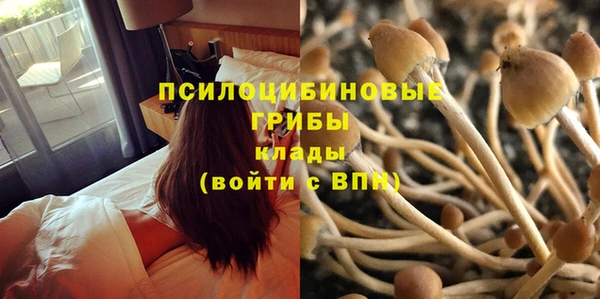 дживик Кондопога