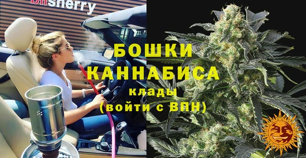 прущие грибы Абинск
