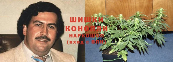 прущие грибы Абинск