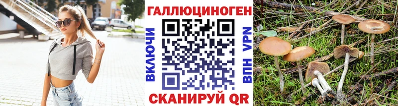 купить   Лакинск  Галлюциногенные грибы мицелий 
